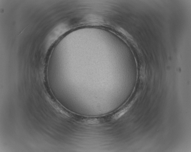 X0000081481410200702021846