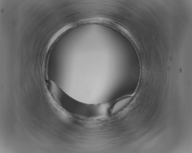 X0000081481426200702021846