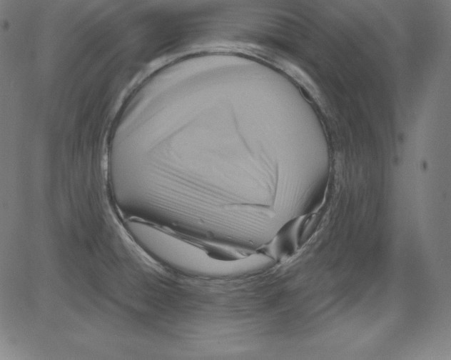 X0000081481428200702021846