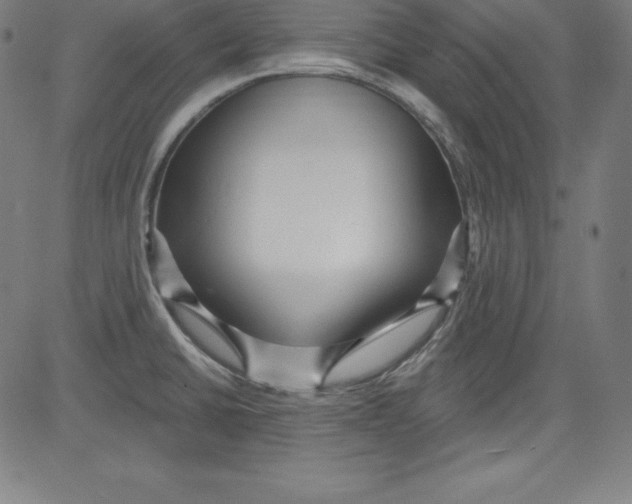 X0000081481430200702021846