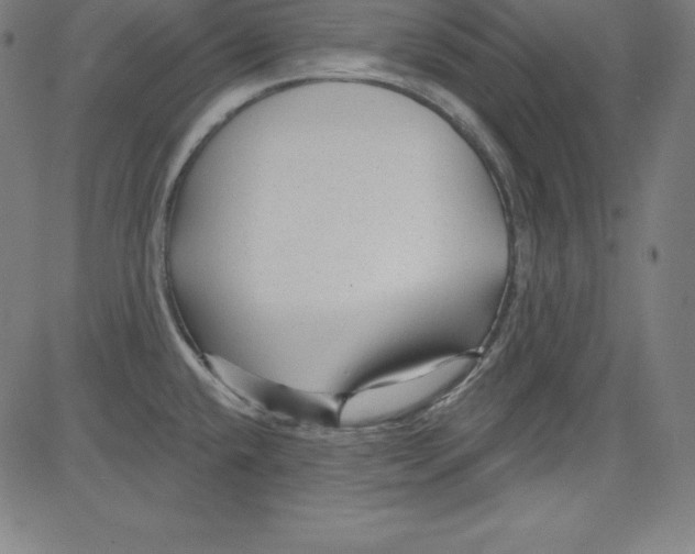X0000081481432200702021847