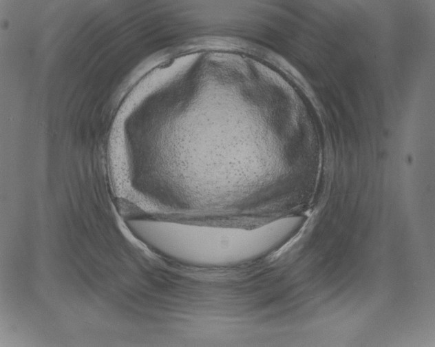 X0000081481433200702021847