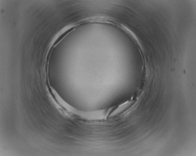 X0000081481434200702021847