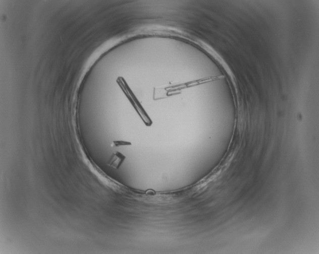 X0000081481437200702021847