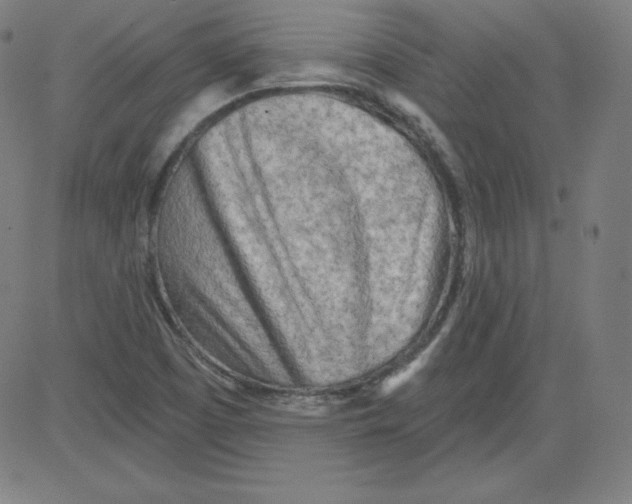 X0000081481457200702021846