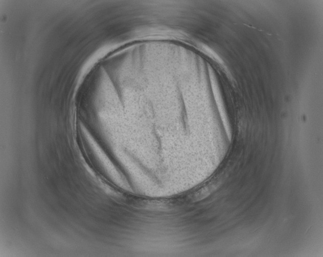 X0000081481472200702021845