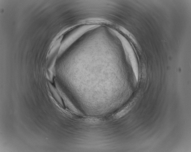 X0000081481473200702021845