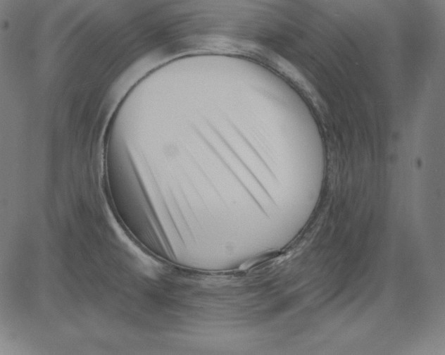 X0000081481479200702021845