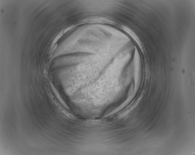 X0000081481481200702021845