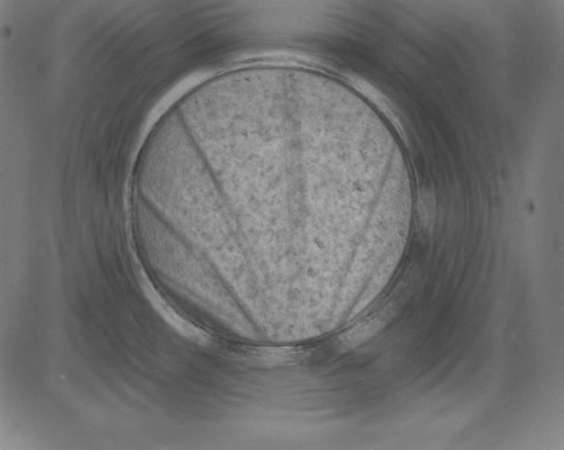 X0000081481482200702021845