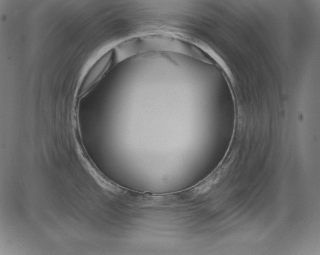 X0000081481485200702021845