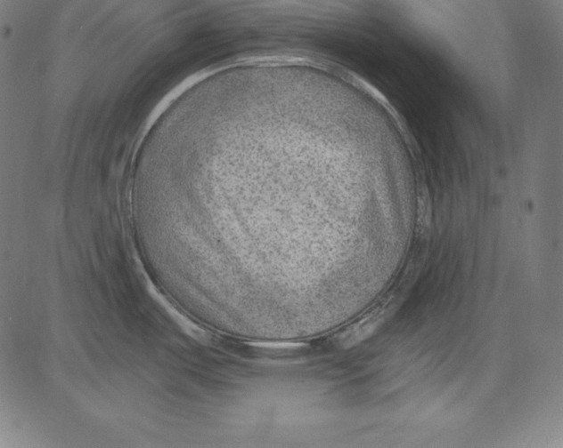 X0000081481487200702021845