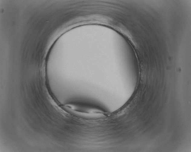 X0000081481516200702021845