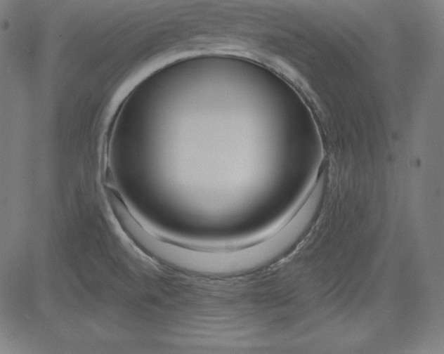 X0000081481520200702021845