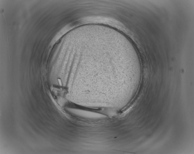 X0000081481521200702021845