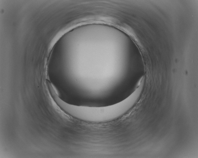 X0000081481524200702021845