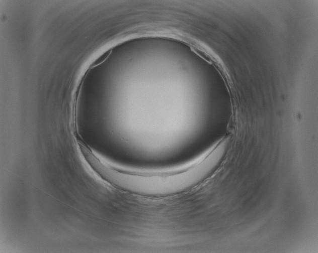 X0000081481528200702021845