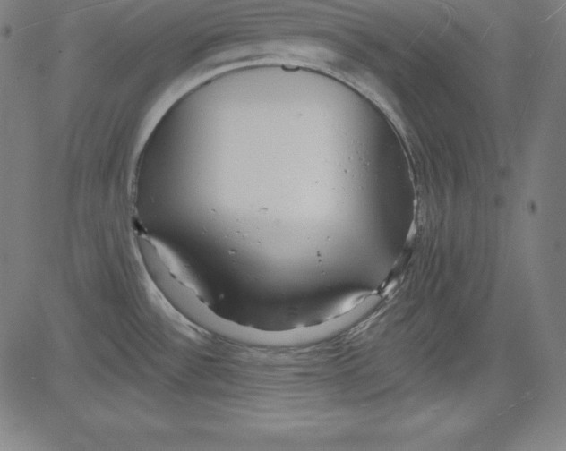 X0000081481532200702021845
