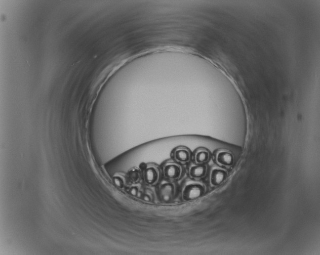 X0000081480001200702100017
