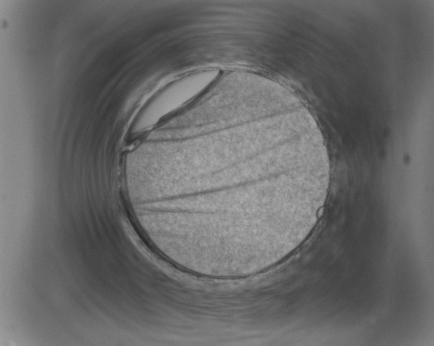 X0000081480002200702100017