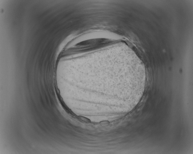 X0000081480003200702100017