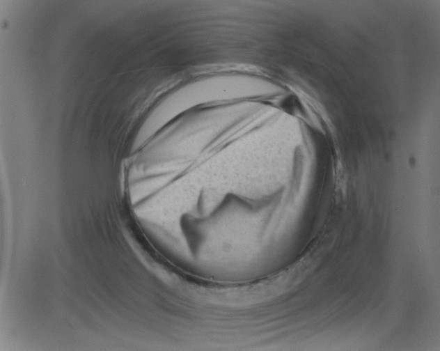 X0000081480013200702100016