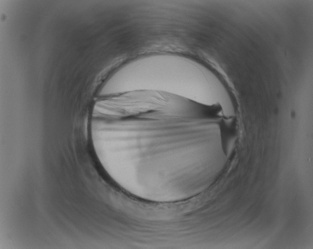 X0000081480019200702100016
