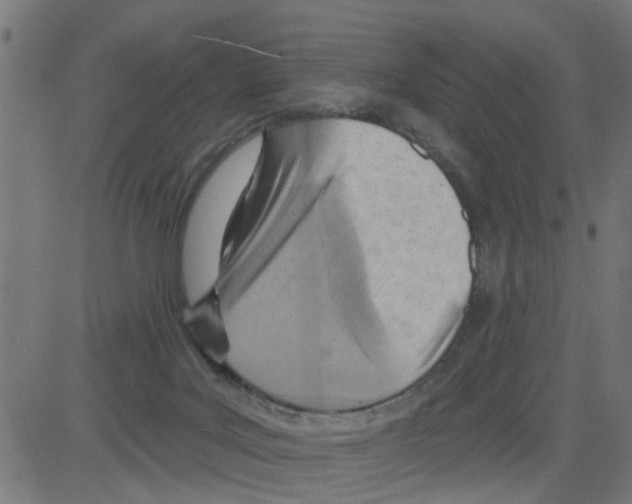 X0000081480027200702100016