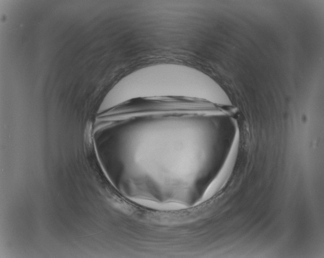 X0000081480041200702100016