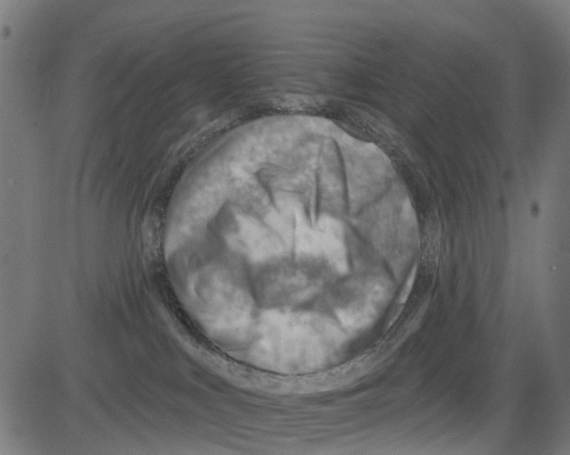 X0000081480043200702100016
