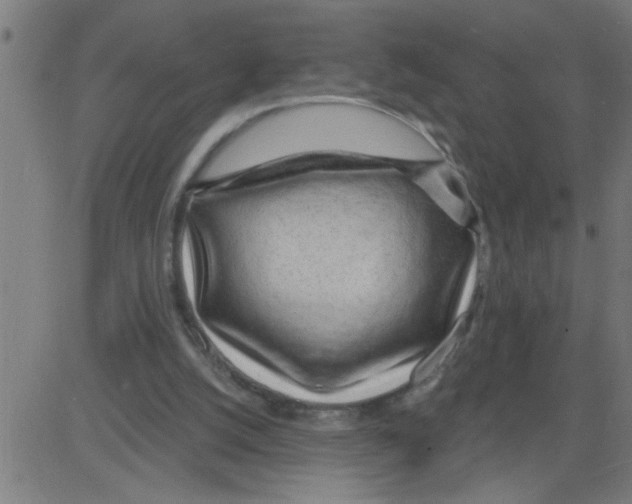 X0000081480056200702100015