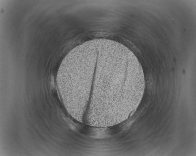X0000081480089200702100016
