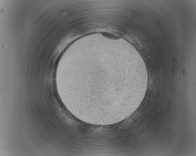 X0000081480098200702100015