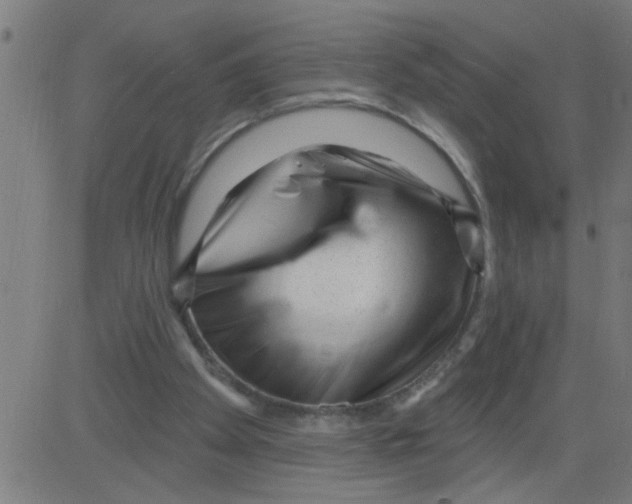 X0000081480105200702100015