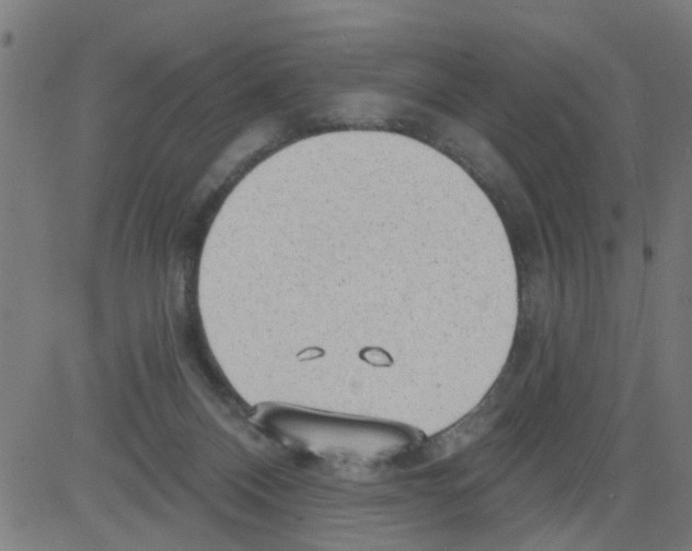 X0000081480120200702100015