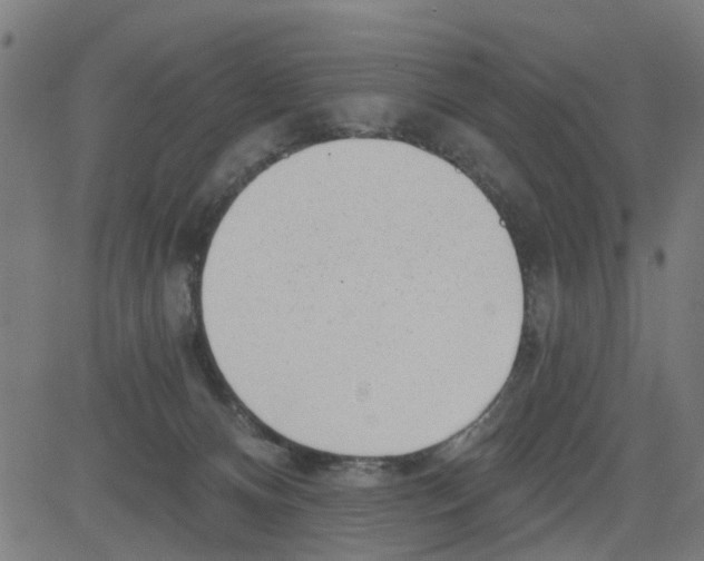X0000081480128200702100014