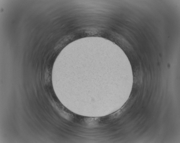 X0000081480136200702100014