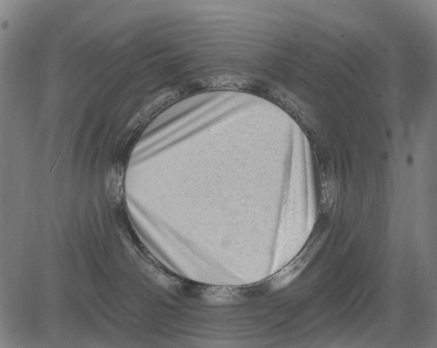 X0000081480142200702100014