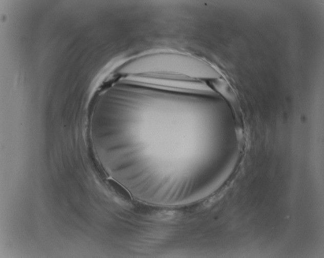 X0000081480152200702100014