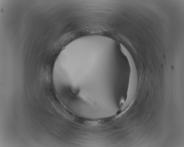 X0000081480170200702100014