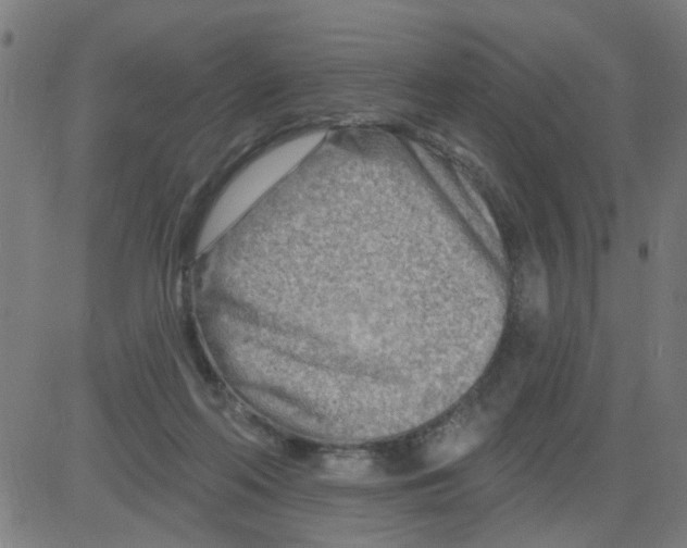 X0000081480214200702100013