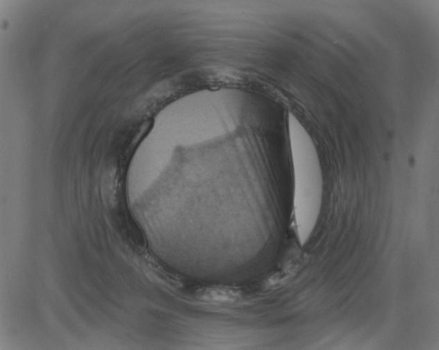 X0000081480223200702100013