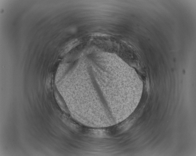 X0000081480233200702100013
