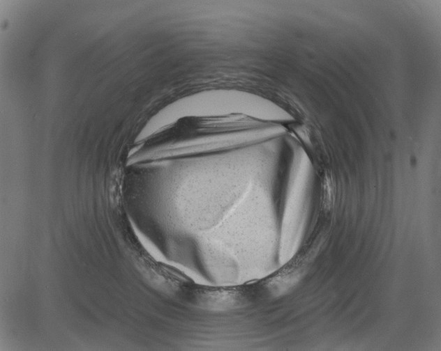 X0000081480237200702100013