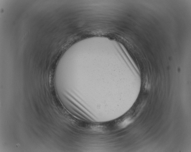 X0000081480268200702100012