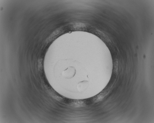 X0000081480278200702100012