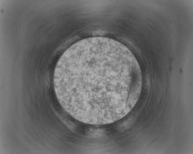 X0000081480311200702100011