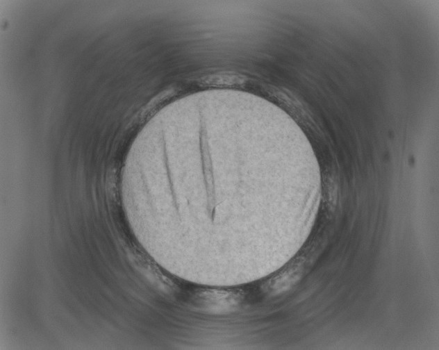 X0000081480326200702100011