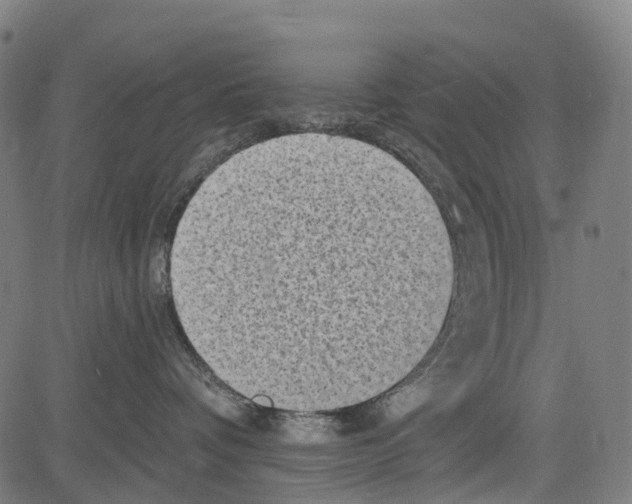 X0000081480336200702100011