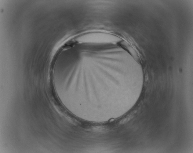 X0000081480344200702100010